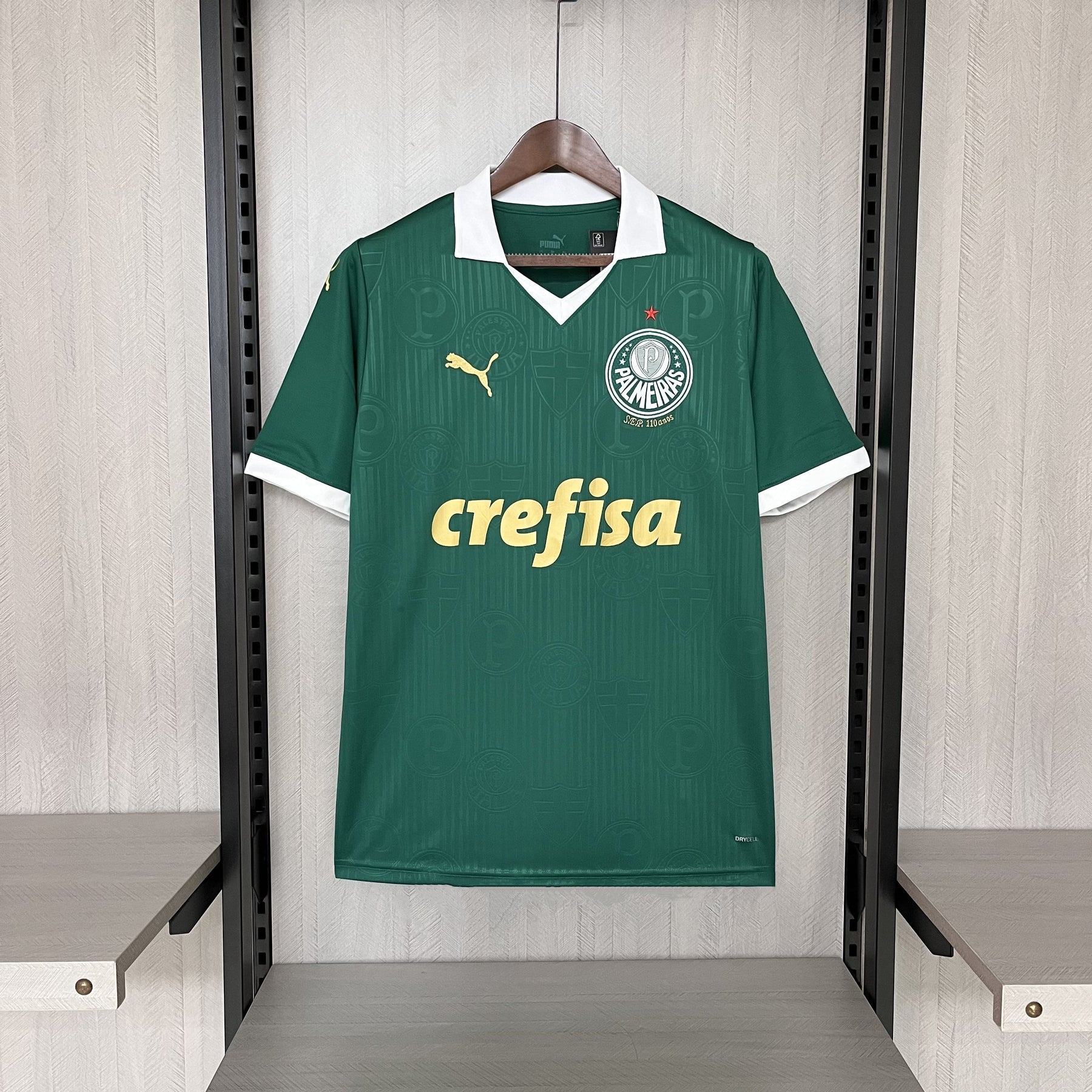 Camisa do Palmeiras 2024/25 Home