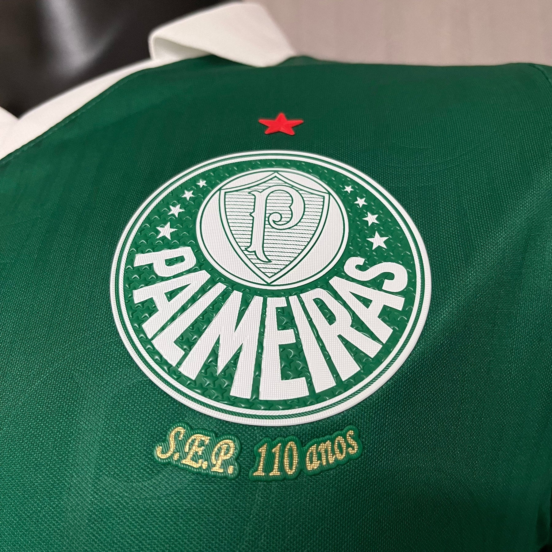 Camisa do Palmeiras Home 2024/25 - Jogador